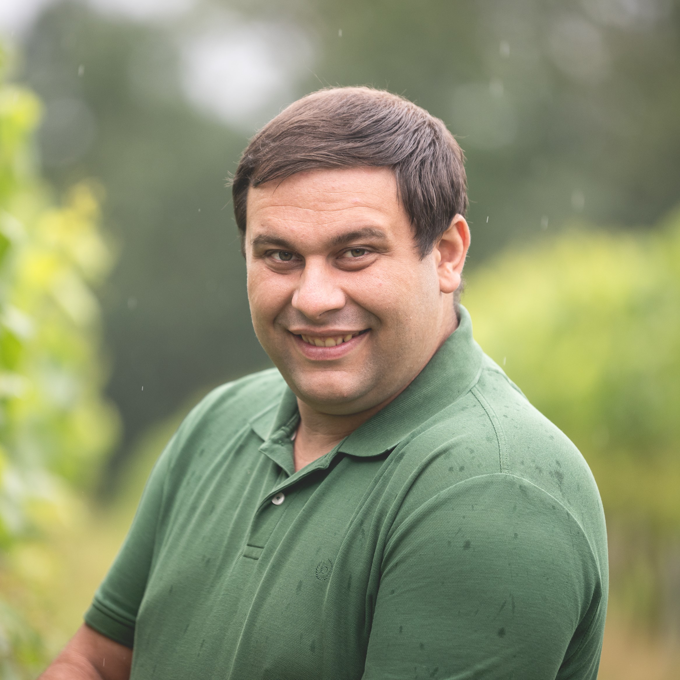 Weinbau Rogl: Erster Winzer in Bad Hall mit innovativen Weinen