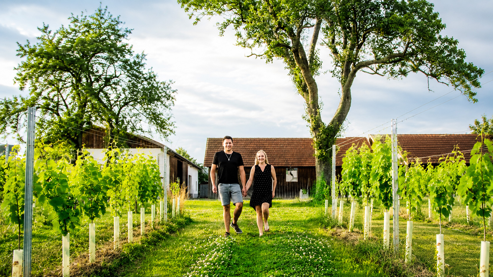 Weingut Greindl - Weinbau mit Mut und neuen Ideen Stephan und Andrea Greindl bei der Arbeit im Weingarten in Naarn im Machland