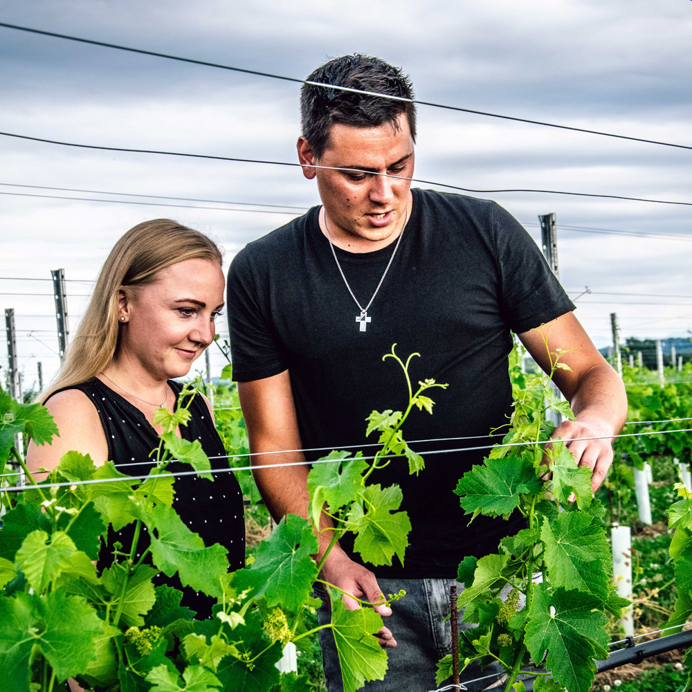 Stephan und Andrea Greindl in ihrem Weingarten in Naarn im Machland